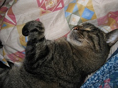 Micky dort sur Maman 05